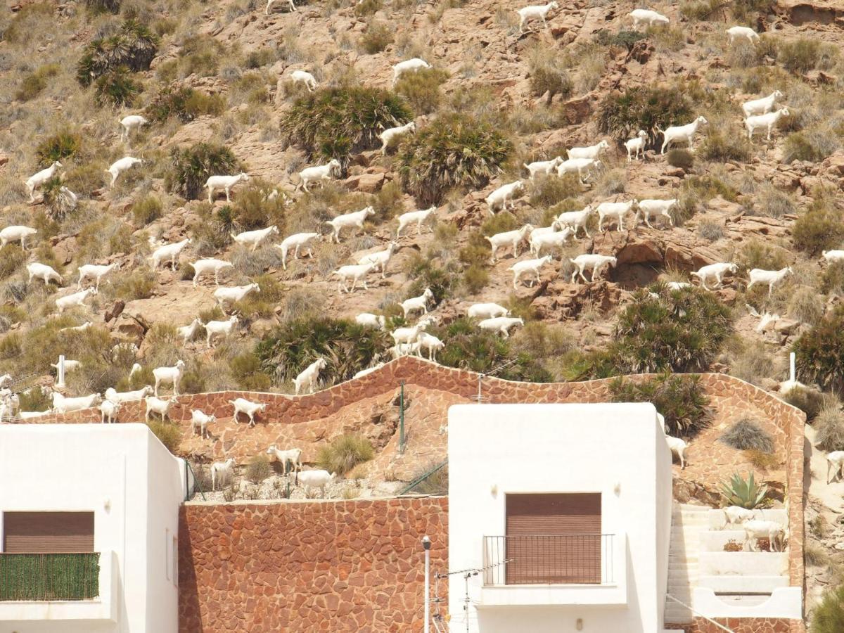 La Loma Villa San José Dış mekan fotoğraf
